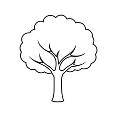 Cartoon tree outline illustration for kids' coloring book