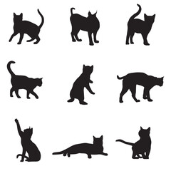 set of black cats