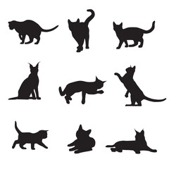 set of black cats