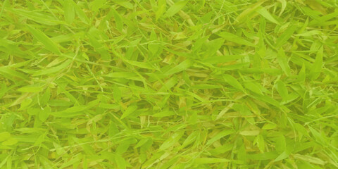 Frame of tropical leaves with place for text. Border with palm branches, leaves. Vector.