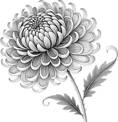 Elegant marble flower clipart with timeless artistic charm.
