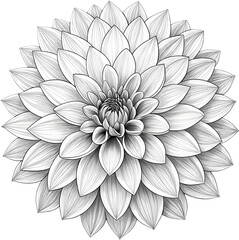 Elegant marble flower clipart with timeless artistic charm.