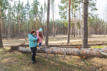 Fototapeta premium grandmother with granddaughter walking and playing in nature in the forest