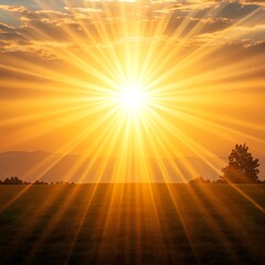 sunset over the field