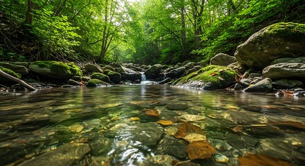 Obraz premium Serene Forest Stream: Crystal-clear water flows peacefully through a lush forest, the rocks beneath visible, framed by verdant trees and dappled sunlight, capturing nature's tranquil beauty.