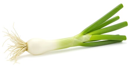 Fresh Green Onion Isolated on White