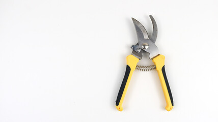 Pruning scissors isolated - on white background