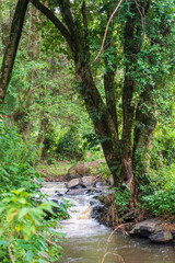 Close-up of a wild river stream and waterfall near the Kessup Forest along the great rift Valley in...