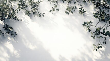 Obraz premium Gentle foliage shadows cast on a light surface.