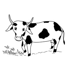 Hand drawn dairy cow vector illustration. Sketch style farm animal. Simple black and white cow line art