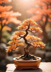 Bonsai tree with brown leaves in the sun