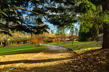 Blackheath is a town located near the highest point of the Blue Mountains, between Katoomba and...