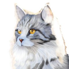 portrait of a cat