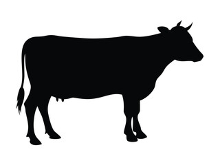 cow silhouette vector illustration. Dairy Cow silhouette icon symbol