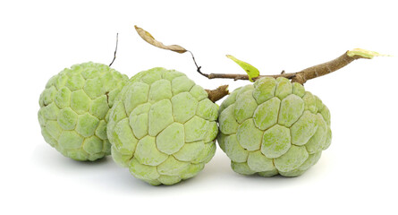 Close-up of fruit against white background,Arad,Romania 