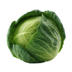 Fototapeta premium Fresh green cabbage vegetable isolated transparent background healthy food ingredient