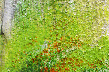 Abstract Modern Painting Textured Background