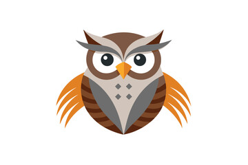owl on white background