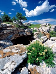 Stunning Rocky Landscape with Cave Entrance and Lush Vegetation under a Bright Blue Sky