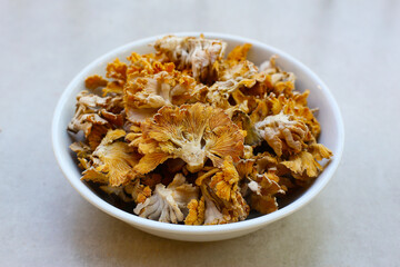 Splitgill mushroom or schizophyllum commune mushroom