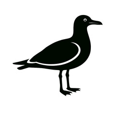 Seagull full body, white background, monochrome black, flat vector illustration, illustrator style