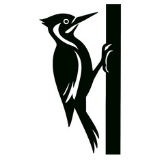 Woodpecker full body, white background, monochrome black, flat vector illustration, illustrator style