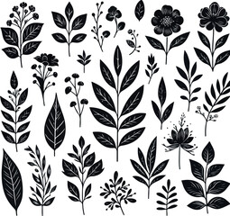 Floral,Flower leaf,leaves ,Botanical clipart hand drawn Logo icon Vector .