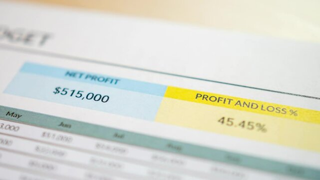 A detailed profit and loss analysis showcasing business performance metrics and financial insights.