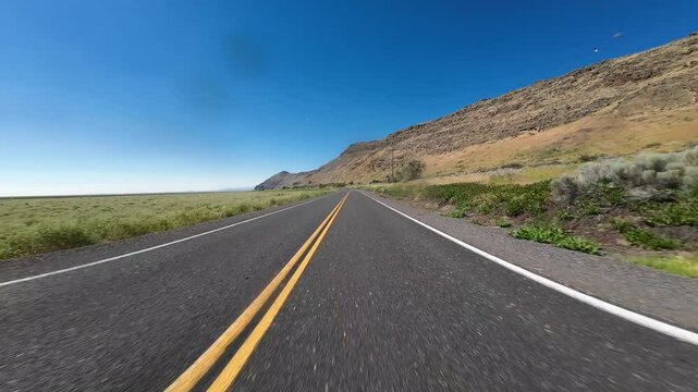 Tule Lake Mormon Crickets Swarm 02 Front View Driving Plates of Volcanic Legacy Scenic Byway Southbound California USA Ultra Wide
