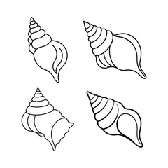 A set of murex shell line art vector illustration