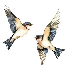 Two Artistic Watercolor Sparrows in Flight