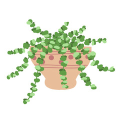 Houseplant in a pot on a white background. Vector illustration.