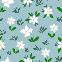 Seamless pattern of white flowers on a gray background. Vector illustration.