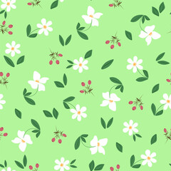 Seamless pattern of white flowers on a green background. Vector illustration.