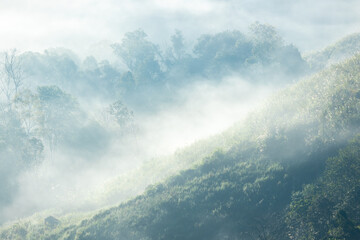 Landscape of Morning Mist with Mountain Layer. mountain ridge and clouds in rural jungle bush forest