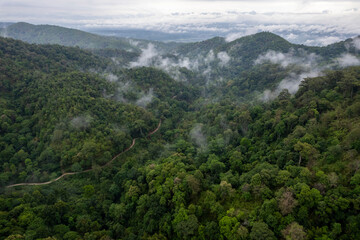 Landscape of Morning Mist with Mountain Layer. mountain ridge and clouds in rural jungle bush forest