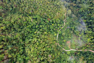 Landscape of Morning Mist with Mountain Layer. mountain ridge and clouds in rural jungle bush forest
