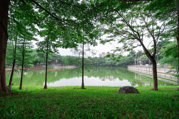 Obraz premium The evening sun shines on the green vegetation of trees by the lake in the park, and the grass is covered with raindrops 