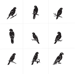 Group parrot vector design