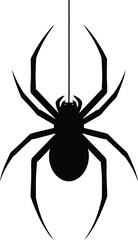 Black spider isolated on white background with hairy legs and scary silhouette