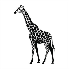Naklejka premium Black and white silhouette of a majestic giraffe isolated on a white background