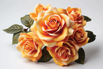 Beautiful roses isolated on white