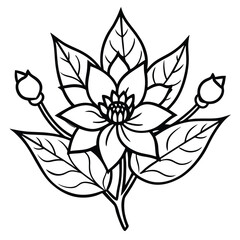 Hand-Drawn Black and Colored Floral Bouquet Illustrations – Botanical Clip art Set for Coloring Pages, Invitations, and Craft Design. Wildflower line art bouquets set, botanical vector illustration.