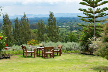 Garden, Yard - Grounds, Patio, Back Yard, Outdoors