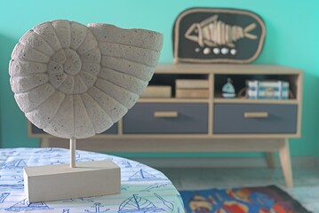 Ammonite shell on table in room decorated in marine style