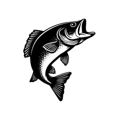 fish vector illustration