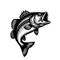 fish vector illustration