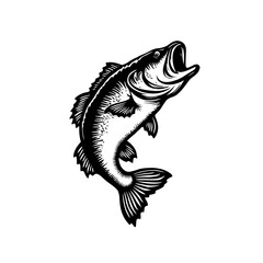 fish vector illustration