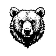 vector illustration of a bear