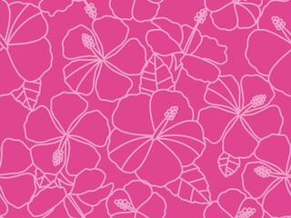 ハイビスカスの背景　D-2